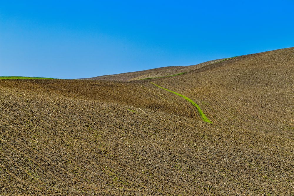 Terre senesi....green line....