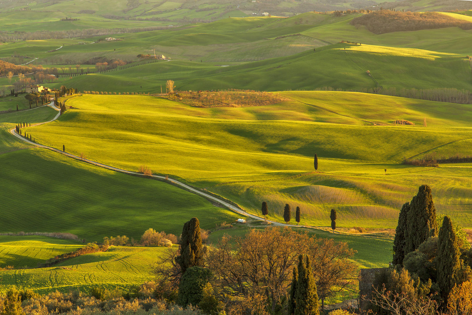 Terre senesi...Heaven on earth...