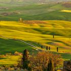 Terre senesi...Heaven on earth...