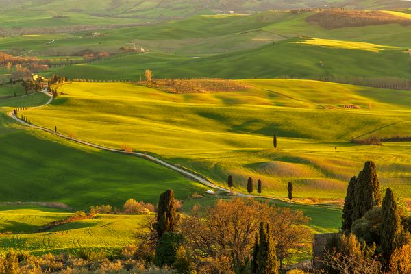 Terre senesi...Heaven on earth...
