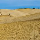 Terre senesi..Val D' Orcia...colline, cipressi...un opera d'arte...