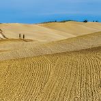 Terre di Siena