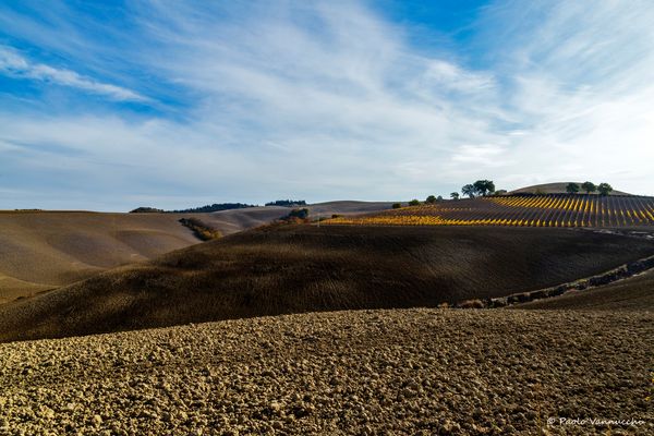 Terre senesi...Val D'Orcia autumn colors....