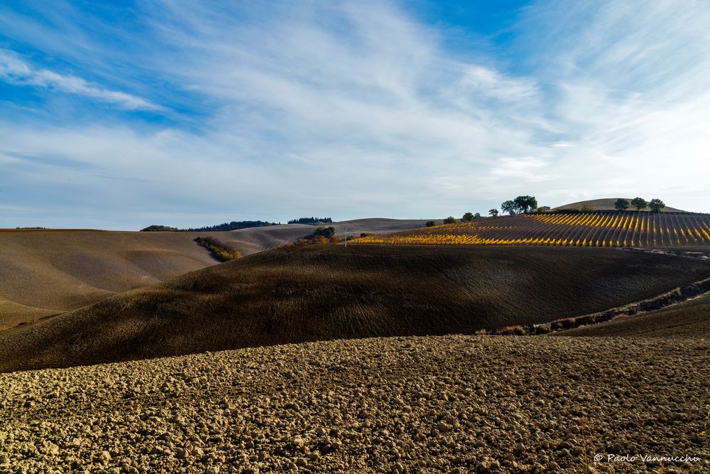 Terre senesi...Val D'Orcia autumn colors....