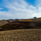 Terre senesi...Val D'Orcia autumn colors....