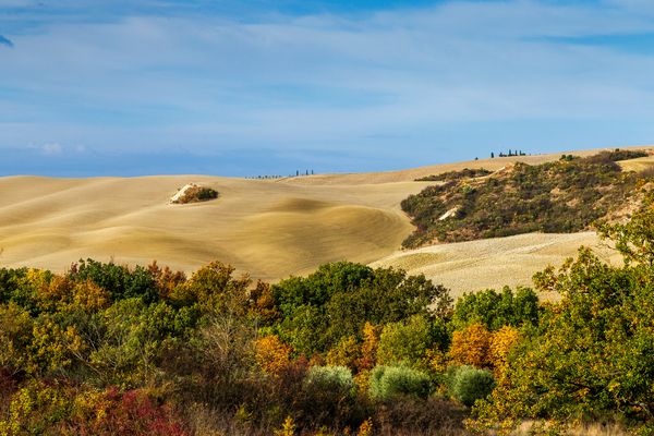 Terre senesi...Val D'Orcia pure enchantment....