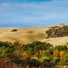 Terre senesi...Val D'Orcia pure enchantment....