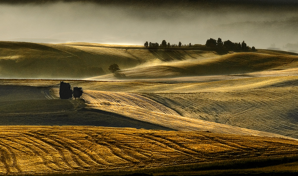 terre toscane