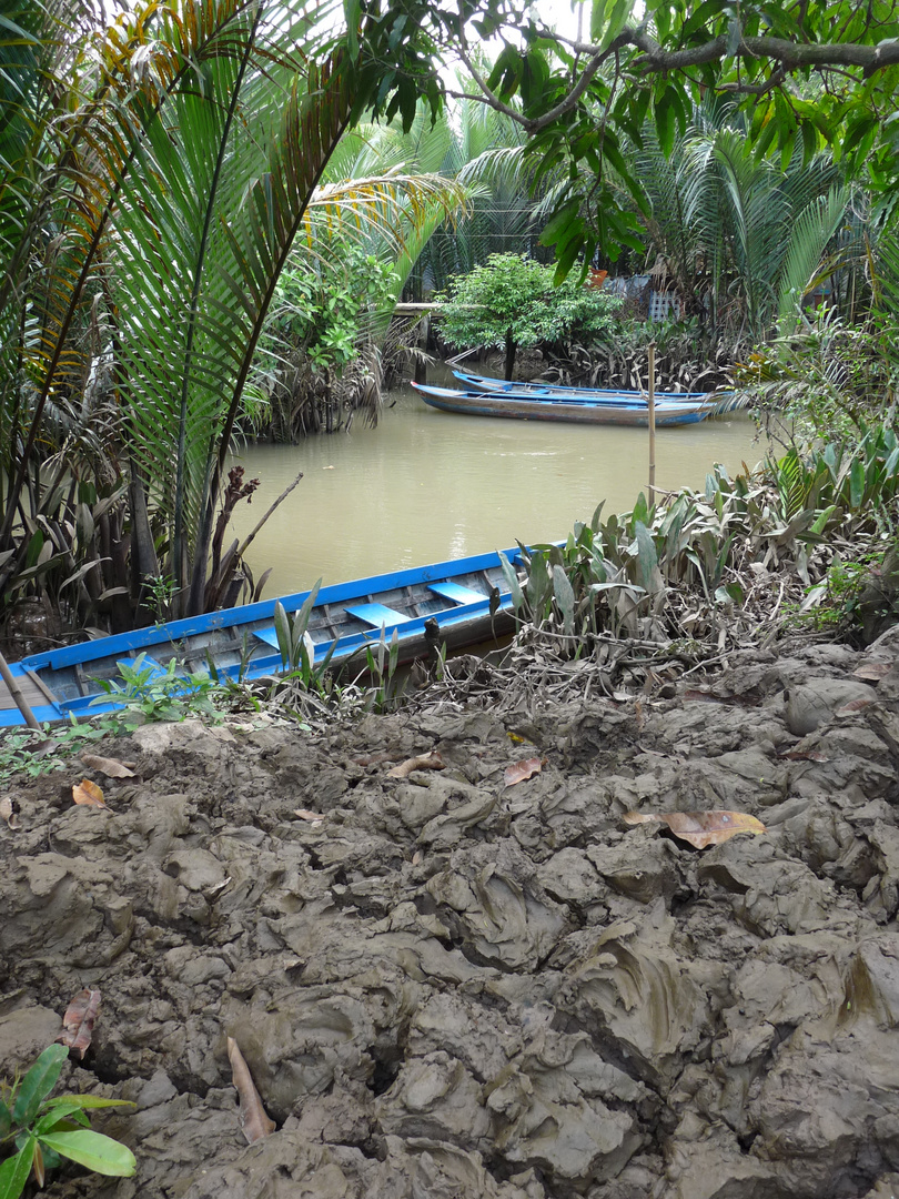 Terre travaillée dans le Delta du Mékong