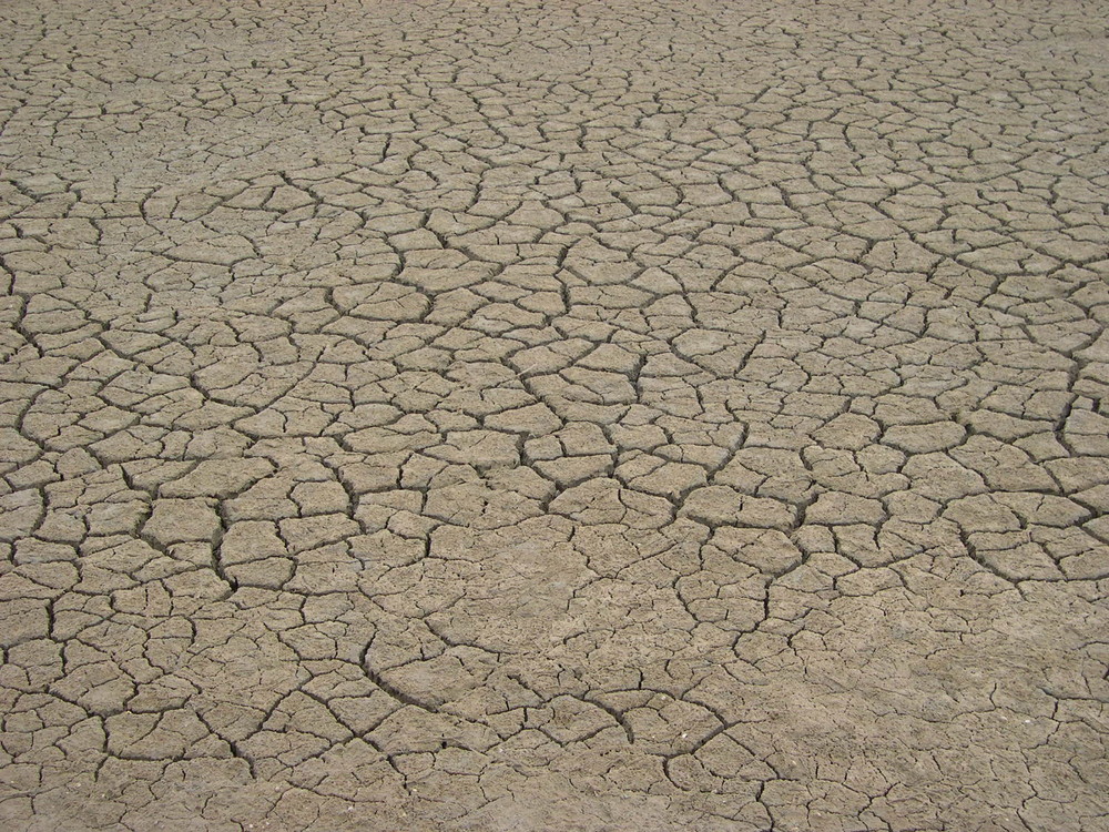 Terre très séchée