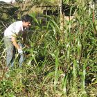terreno2