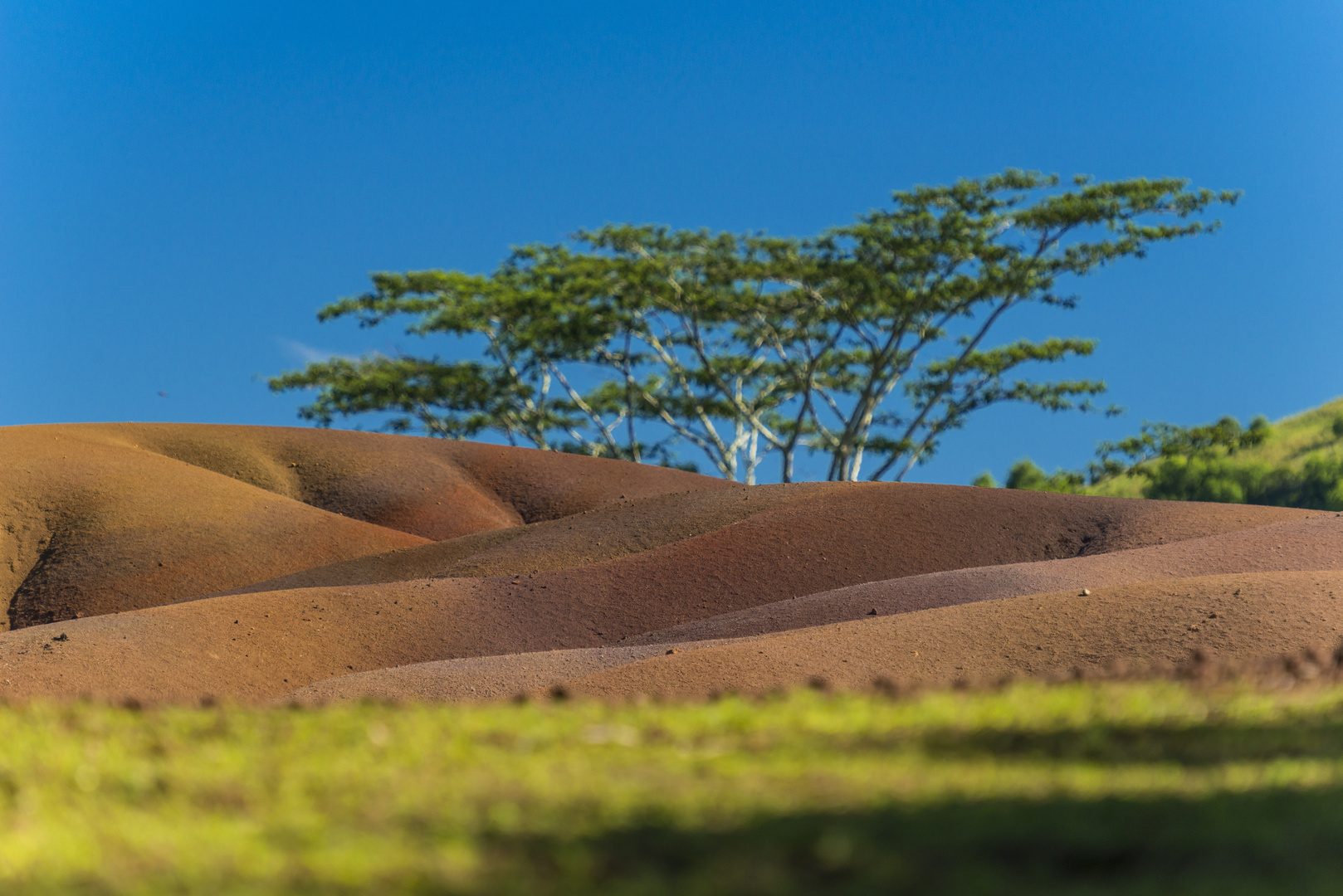 Terres des septs couleurs IV