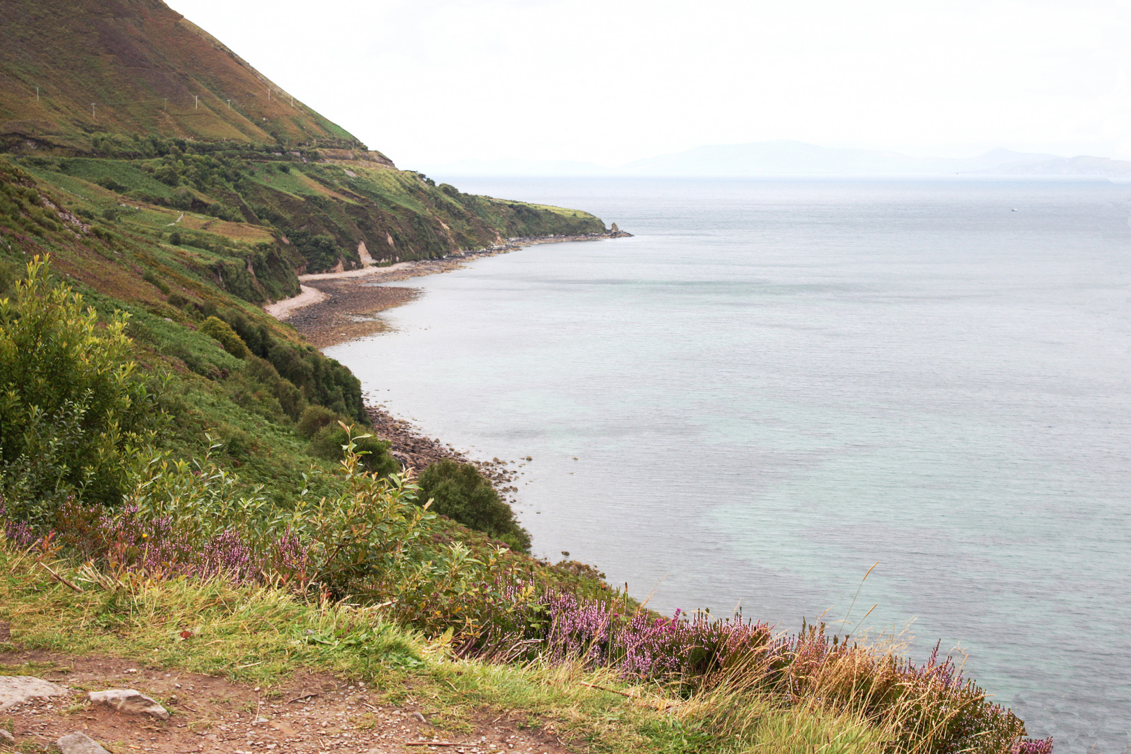 Terres d'Irlande...