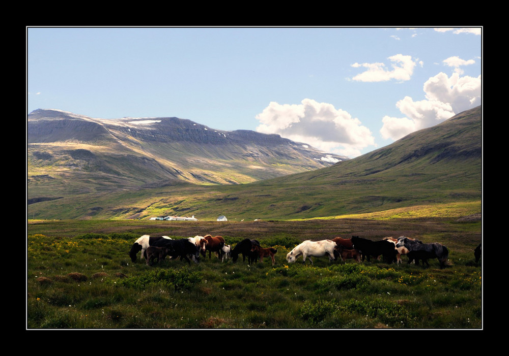 Terres d'Islande