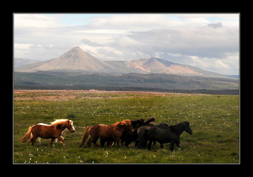 Terres d'Islande