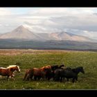 Terres d'Islande