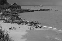 Terres Neuves sur la Plage St Jean