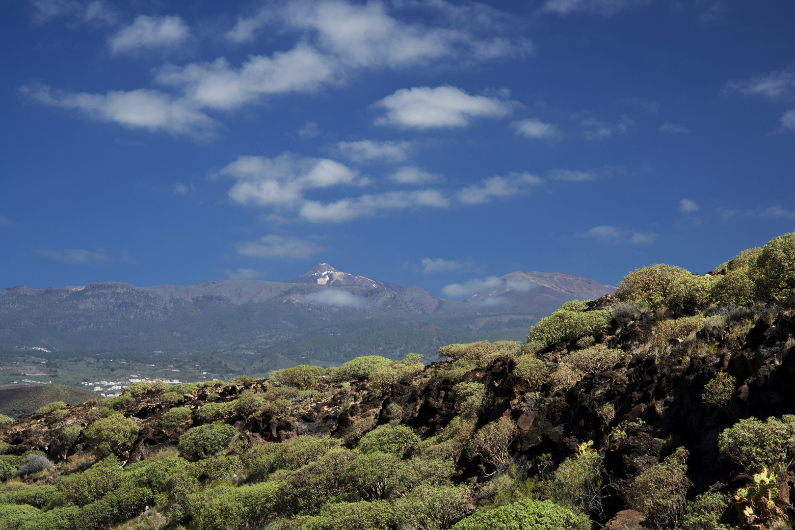 Terres volcaniques