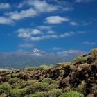 Terres volcaniques