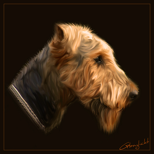 Terrier