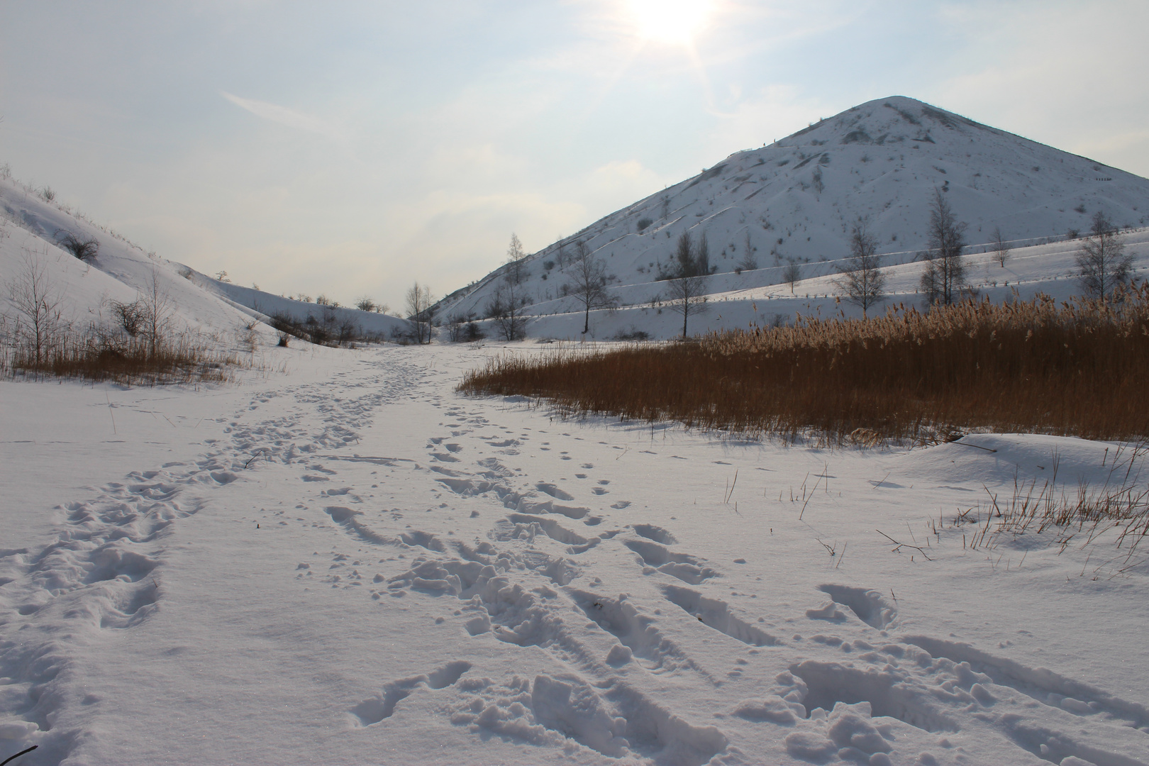 terrils 11/19 Loos en Gohelle