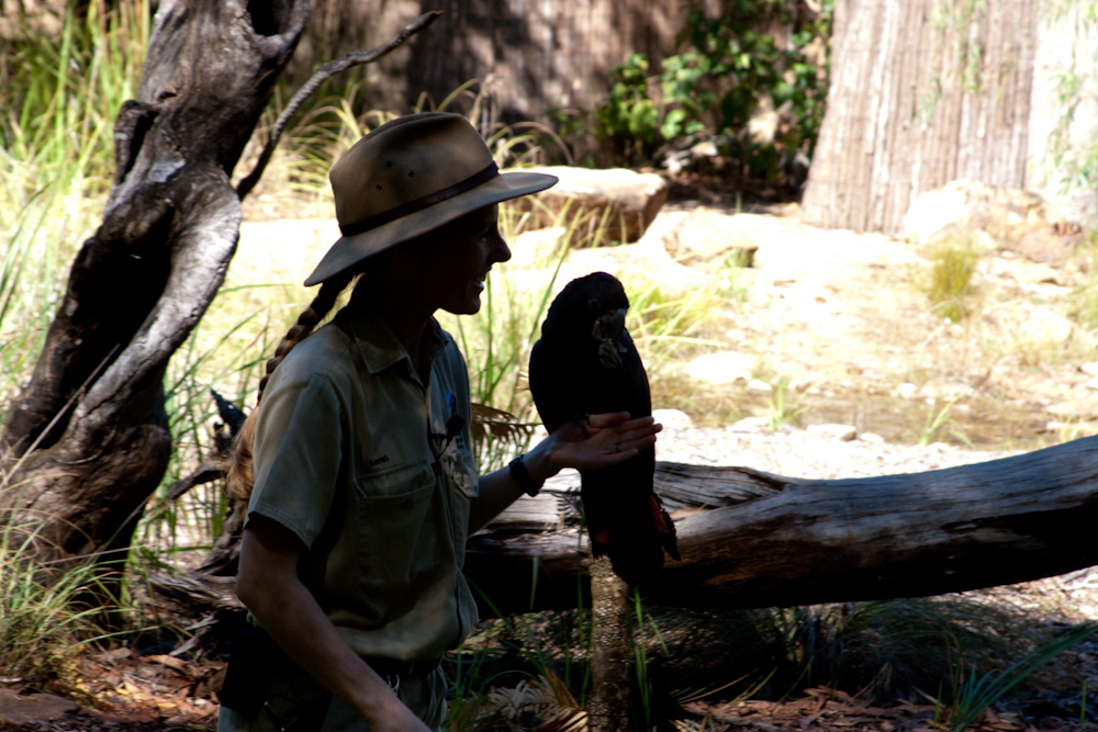 Territory Wildlife Park 1