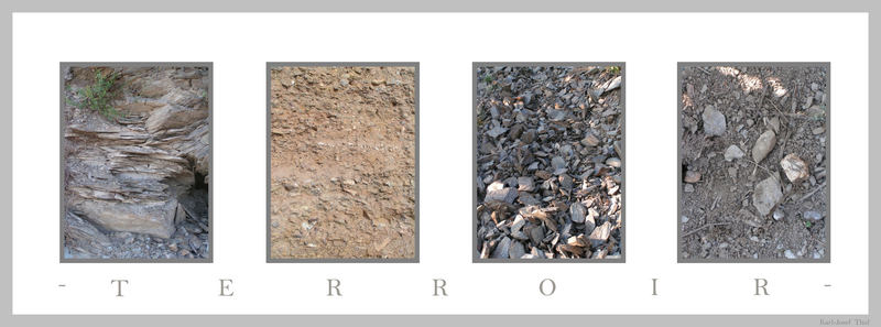 Terroir