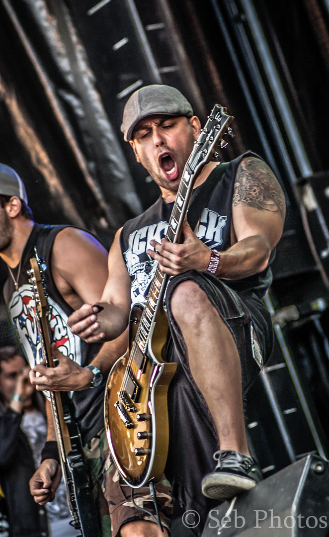 Terror au Hellfest 2013