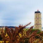 Terschelling