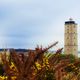 Terschelling