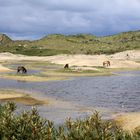 Terschelling