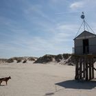 Terschelling Holland 