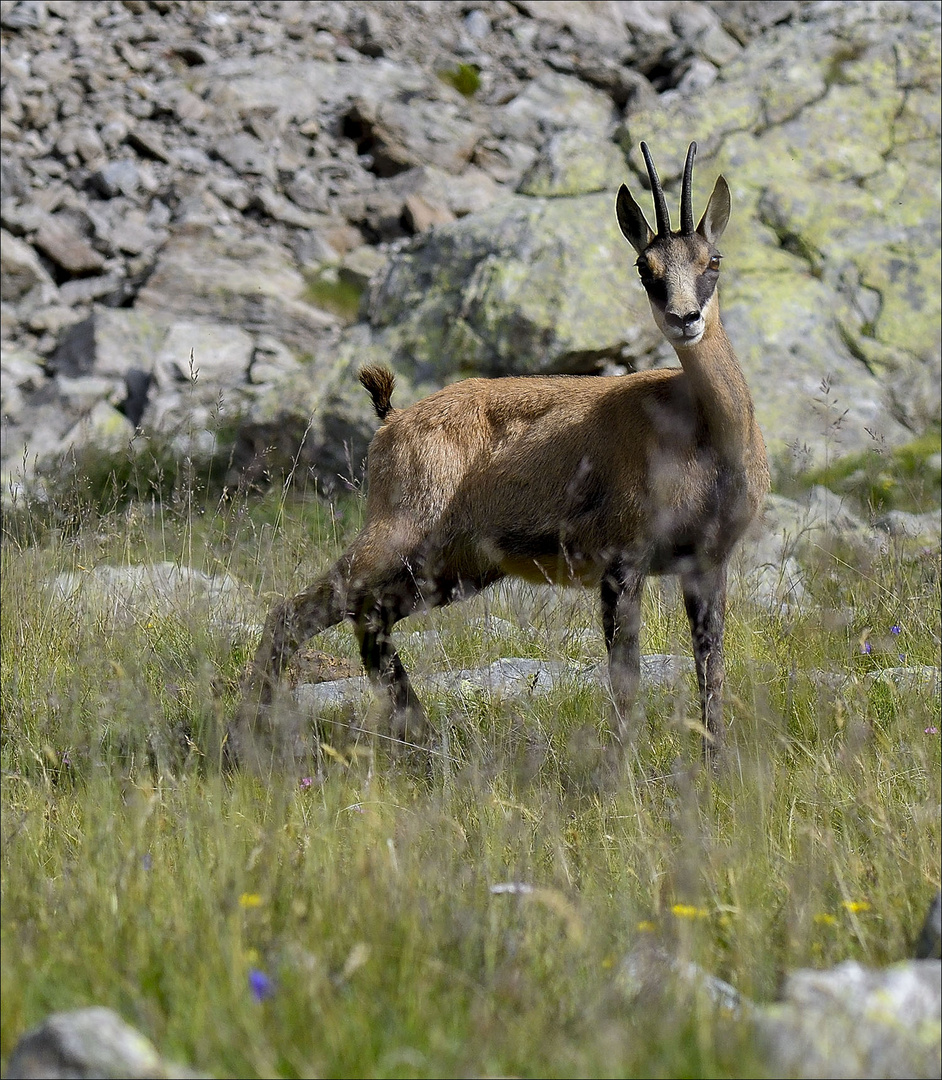 T'es qui toi?