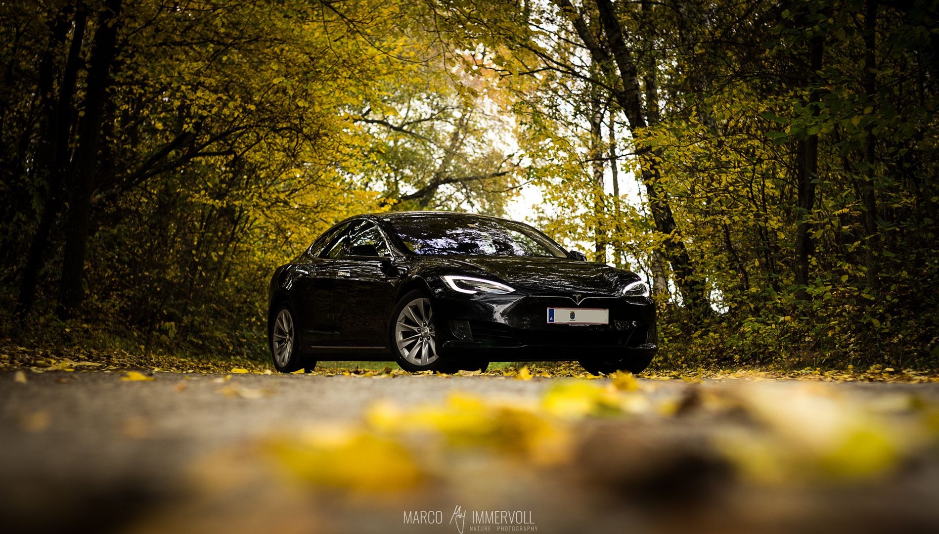 Tesla Model S im herbstlichen Wald