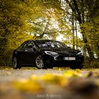 Tesla Model S im herbstlichen Wald