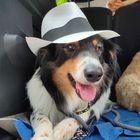 Tessa_with_a_hat