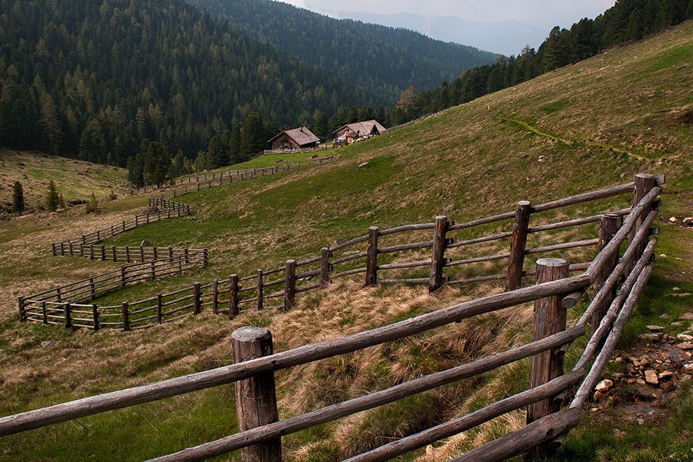 ... Tesselberger Alm - Südtirol ...