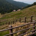 ... Tesselberger Alm - Südtirol ...