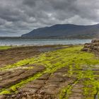 Tessellated Pavement