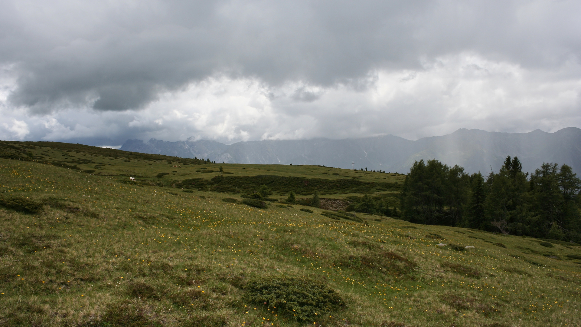 Tessenberger Alm (IMG_7313_ji)