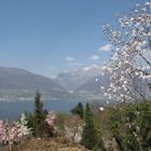 Tessin