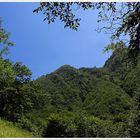 Tessin: schattiger Aufstieg zum Monte Generoso...