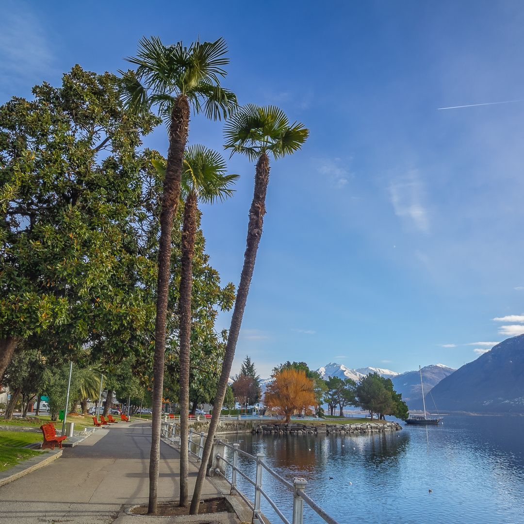 Tessin Schweiz  24,1 Grad