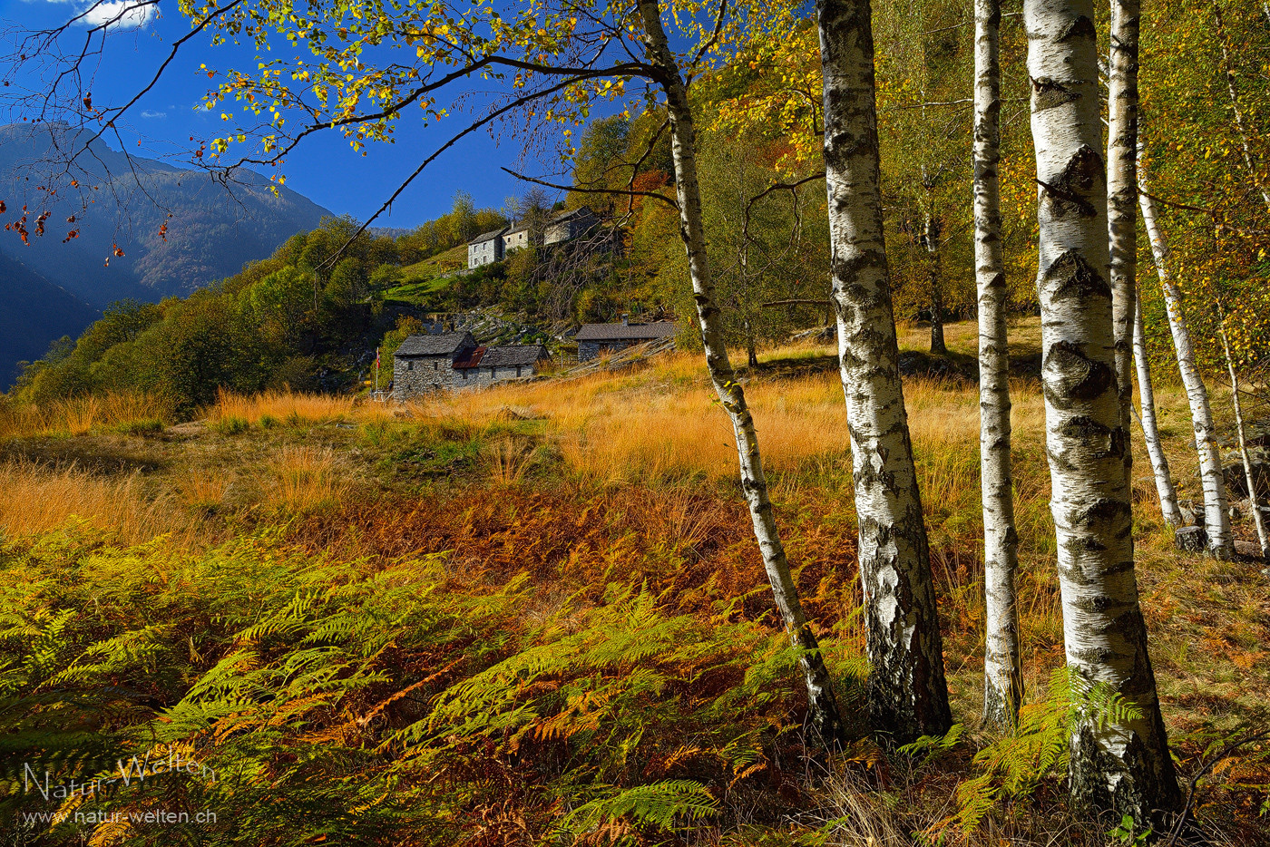 Tessiner Herbstfarben