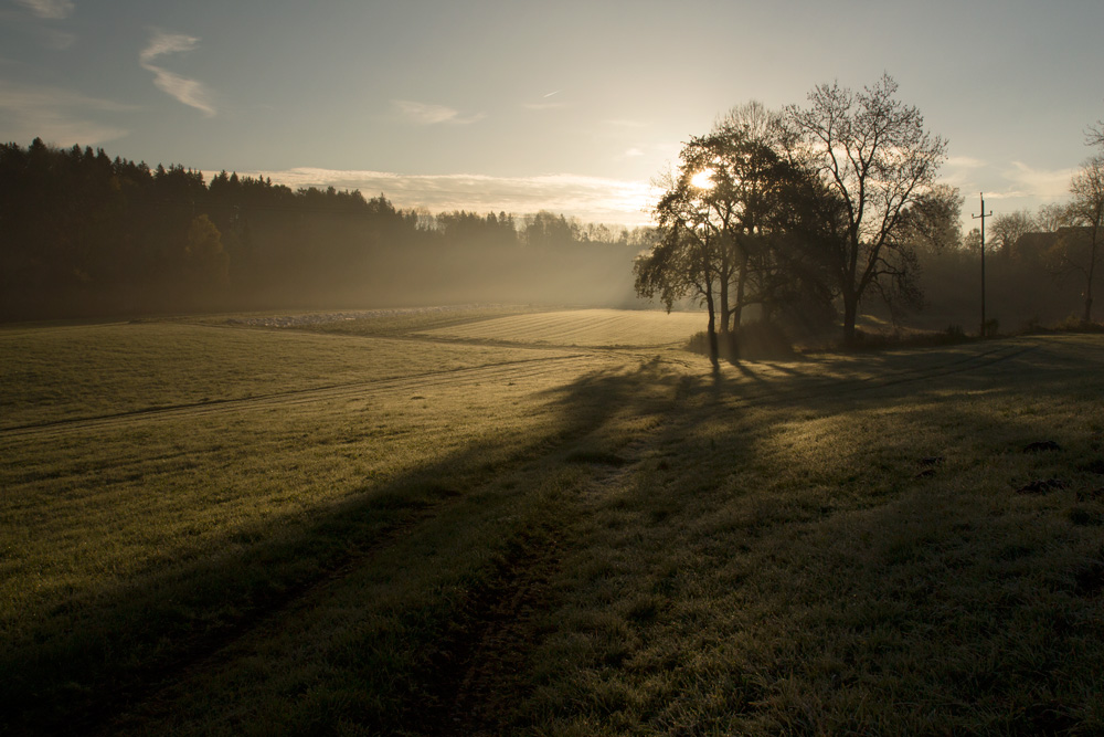 Test-Landschaft