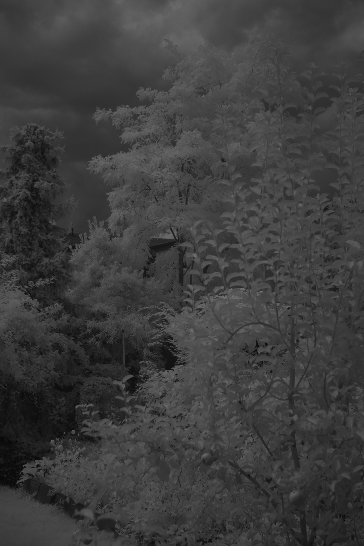 Test Sigma Objektive IR mit IR Filter B&W 093 A