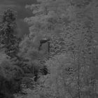 Test Sigma Objektive IR mit IR Filter B&W 093 A