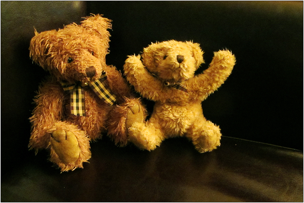 Test ... Test ... Teddys