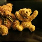 Test ... Test ... Teddys