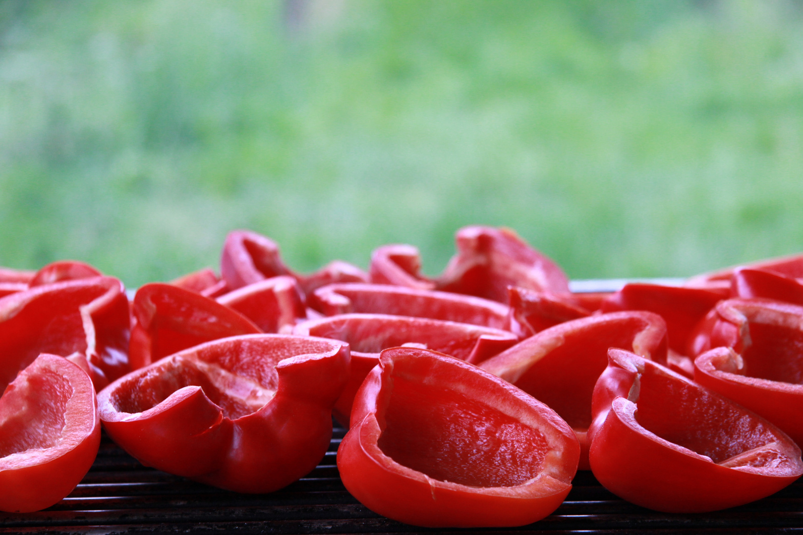 Test, Test, Test - mag jemand gegrillte Paprika?